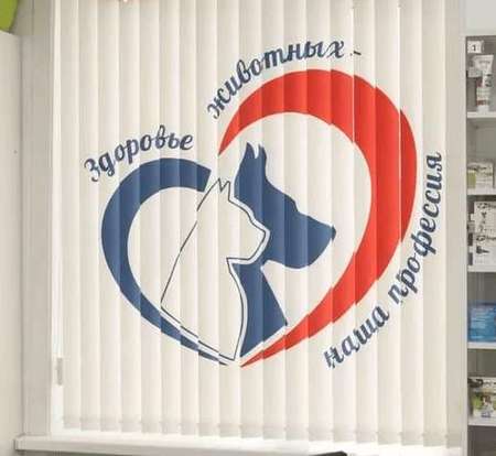 Жалюзи с фотопечатью 