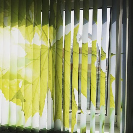 Вертикальные жалюзи с фотопечатью